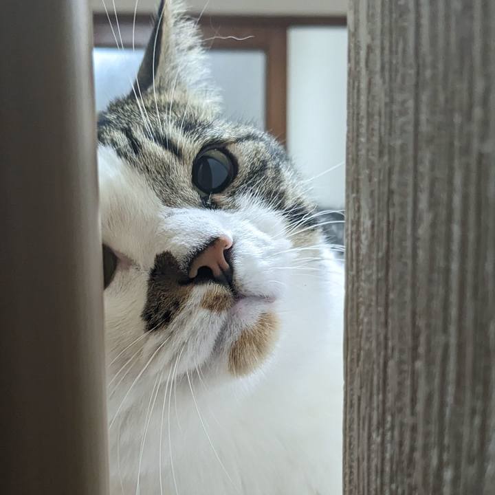 Cccb1d1e 2813 4f84 81c7 2297a2fcc33a 1686091447300