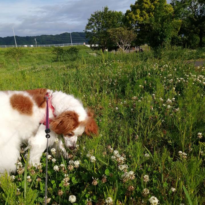 Cccb22e4 a18a 4358 b37d 9c49e27f6b9e 1620905404871