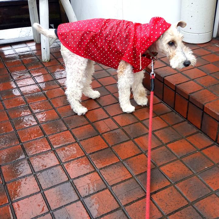 Cccb74bc ff85 4d00 9132 98f768ab0ba0 1611402789077