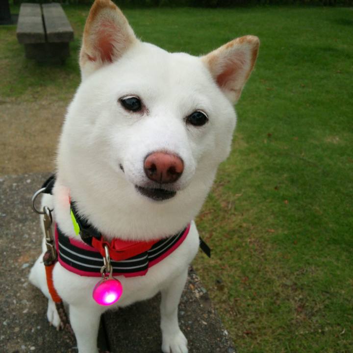 Cccb75d9 c7ad 40af 9dda afb50797909a 1563273393349