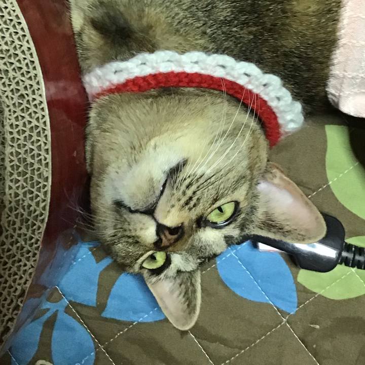 Cccb85db 5afc 48f6 875f 4f3591888b9a 1609836887573