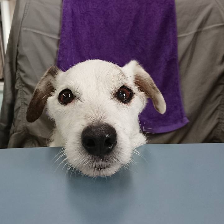 Cccb9eb3 1640 4c41 b907 bde6b28cf13d 1602374490793