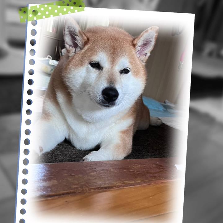 Cccbad59 0e2e 4263 b853 8e84a092280e 1694480259945