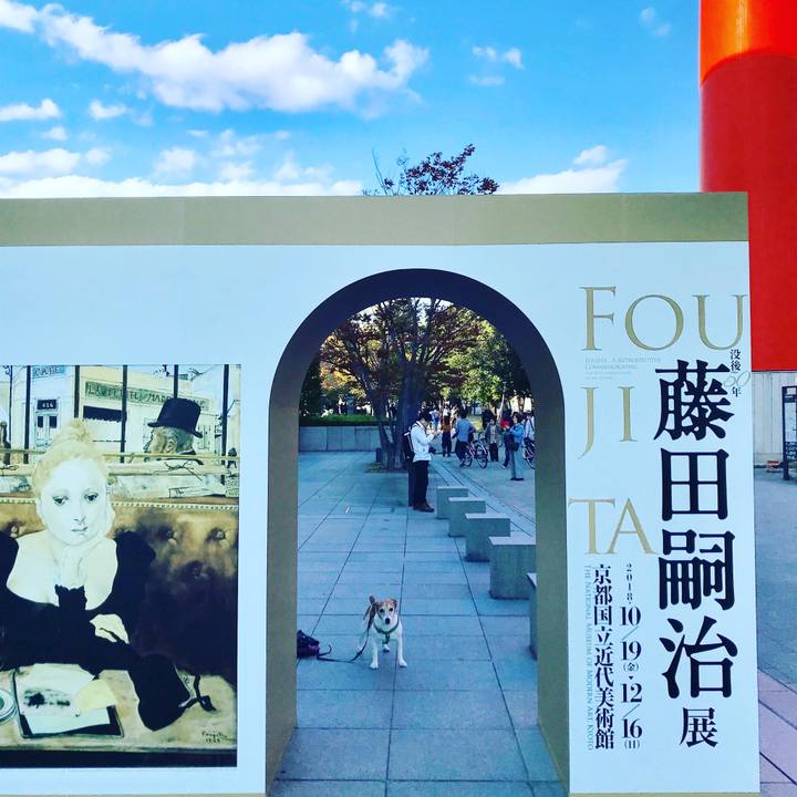 Cccc192c 05f7 4430 89fd 6511f73dfe55 1540776678843