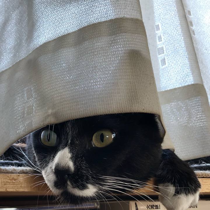 Cccc4396 ce16 4fd1 8310 dec23e048d1b 1630985399370