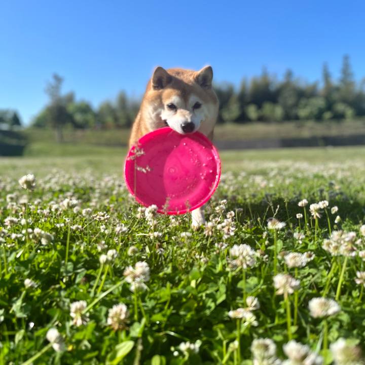 Cccc582b 1779 45e7 95ac bb1ab254b87f 1651540468533