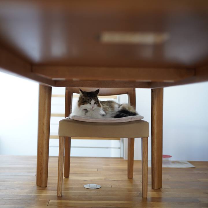 Cccc634b 9bdf 4bfc 9d79 e0774e5ba83a 1619181814590