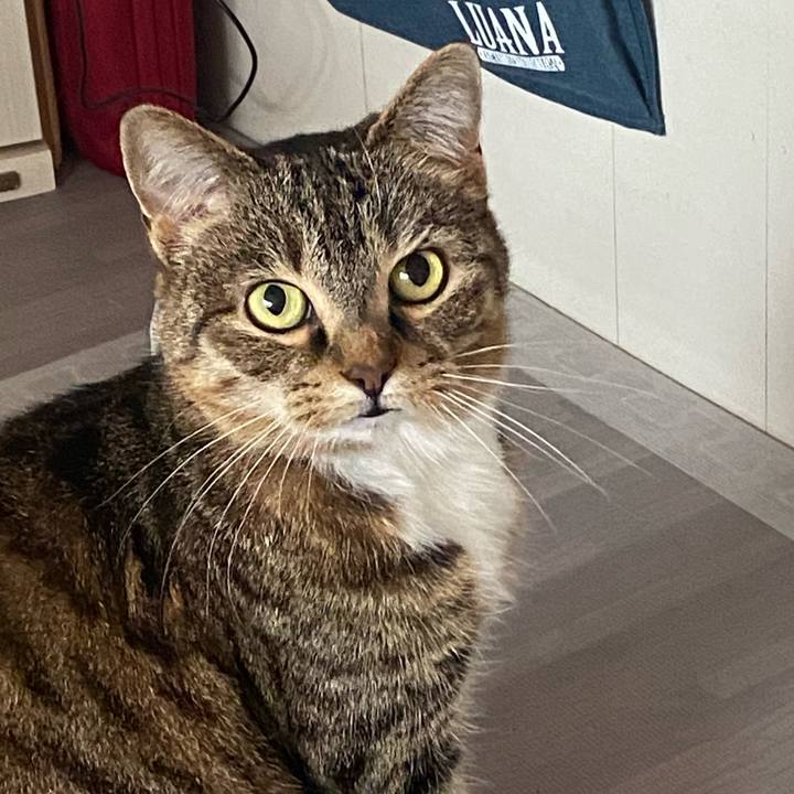 Cccc9e55 0c99 4566 90e8 8d82ffb78fc4 1616206975629