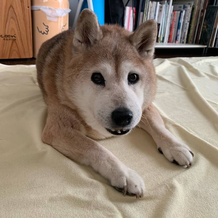 Cccd3bf2 3954 40a5 8f5b fee2f761bec1 1662765092914