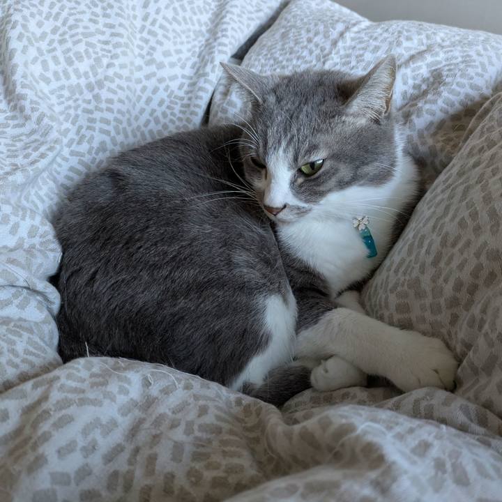 Cccd7e75 e659 472d 8416 f24f7a50fbb8 1734391929232