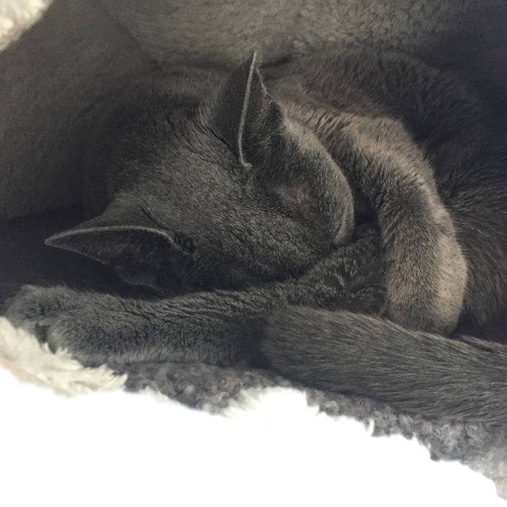 Cccd9611 1ce4 4819 ae14 31344b25d1b5 1547507483113