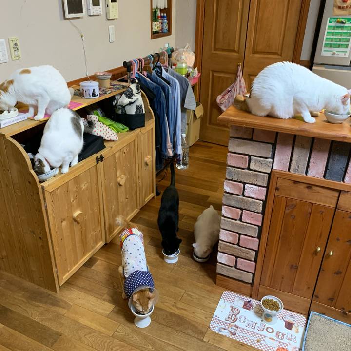 Cccda2d5 9796 4c8e af98 e79d65bdb31e 1629812712808