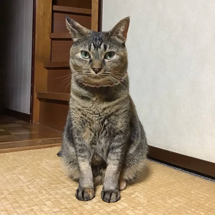 Cccdd546 9e52 4e86 86db b2b9453958d2 1697459165954