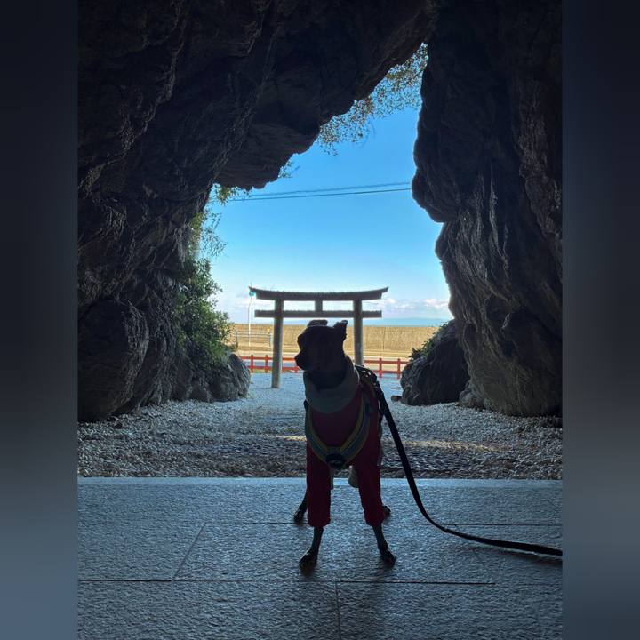 Cccddfd5 d7aa 4ca6 9b81 b23a650208ec 1768467634611