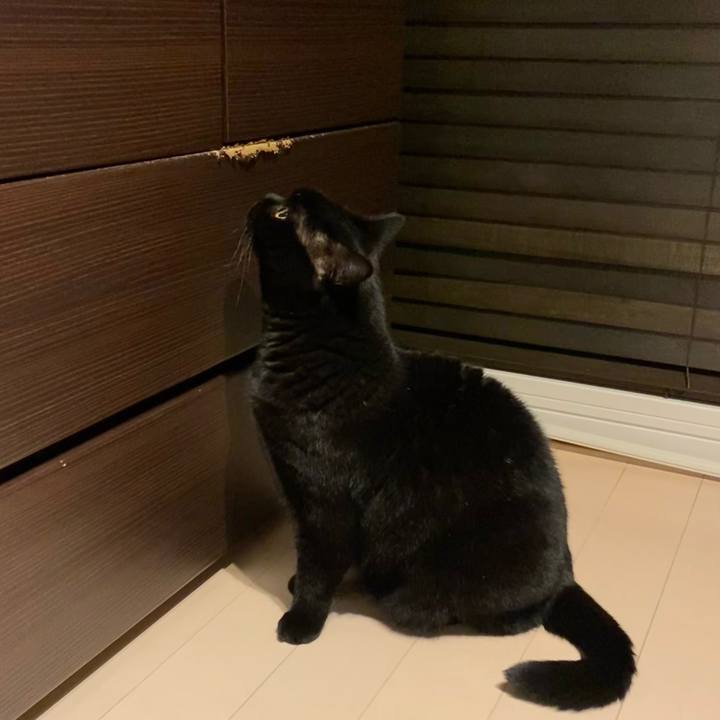 Cccdfd7e d65b 41c2 a620 ab6c27889816 1701603031833