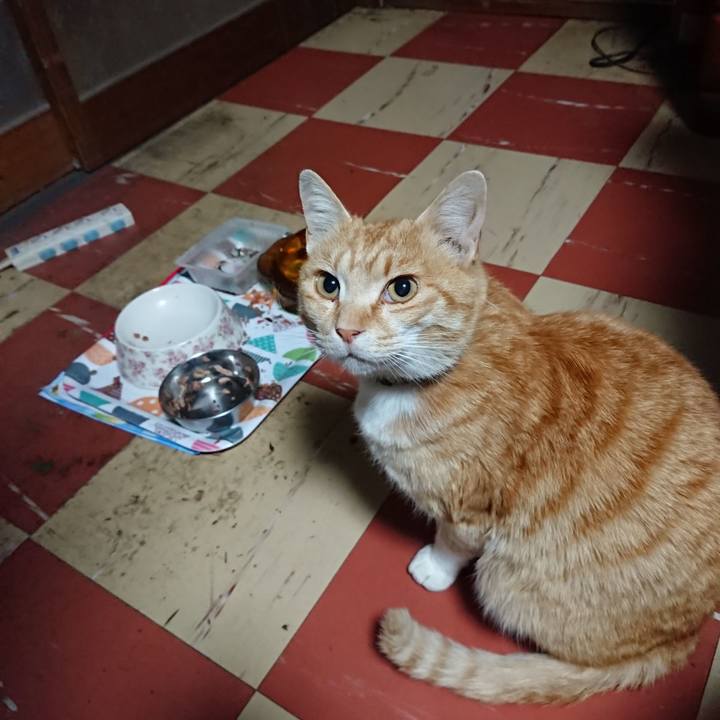 Ccce02b3 a76f 4202 b441 0a96c70e9b75 1588103844584