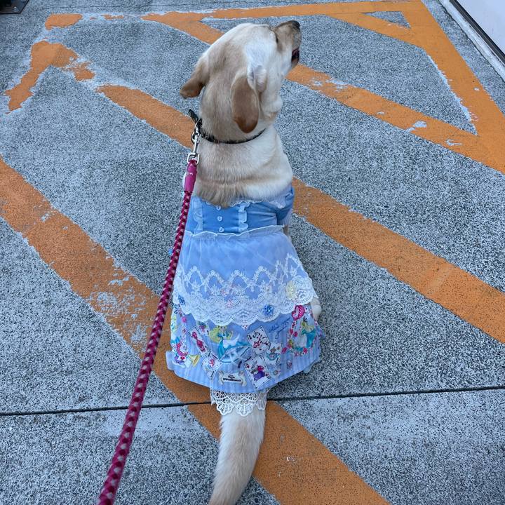 Ccce613f 5a86 4650 92e7 f243af329056 1651403971879