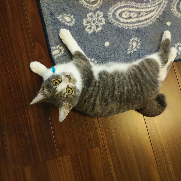 Ccce7393 8d43 4875 bbca 74717a584e94 1569021885730