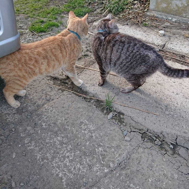 Ccce7dc3 8a73 412c 9b87 a533d1c311b6 1555748692270