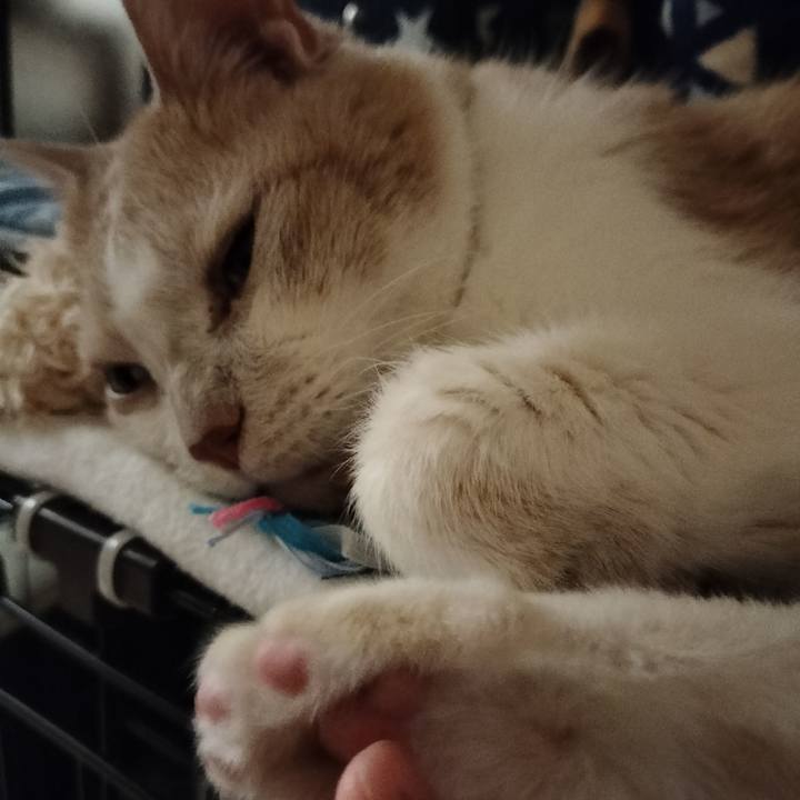 Ccce95f8 5883 47bf 8d5f 9066a0dc61d7 1661862839916