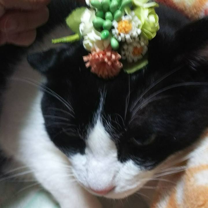 Cccf0c20 7b92 4d44 9c0a 5c3315b083c5 1540009826099