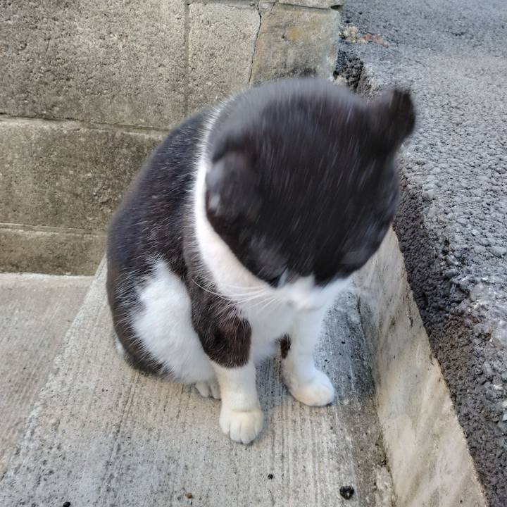 Cccf72d4 5016 42fa b256 f4ddf4f62711 1702769540934