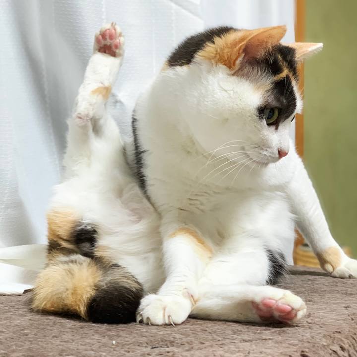 Cccf80bb 92fd 4730 bfd2 52292a1e5e52 1553479467919