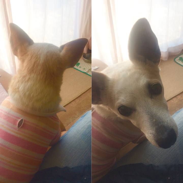 Cccfa211 91e8 478e 875a 5e9e34f72bc9 1527936036485