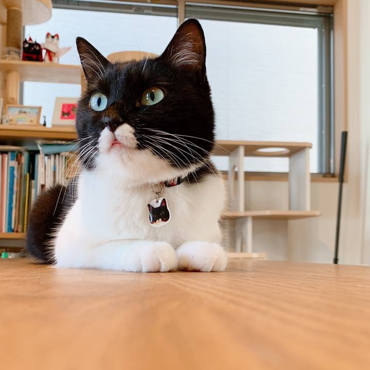 Cccfcbc0 0514 4f75 b4b9 c027d1383460 1565274108605