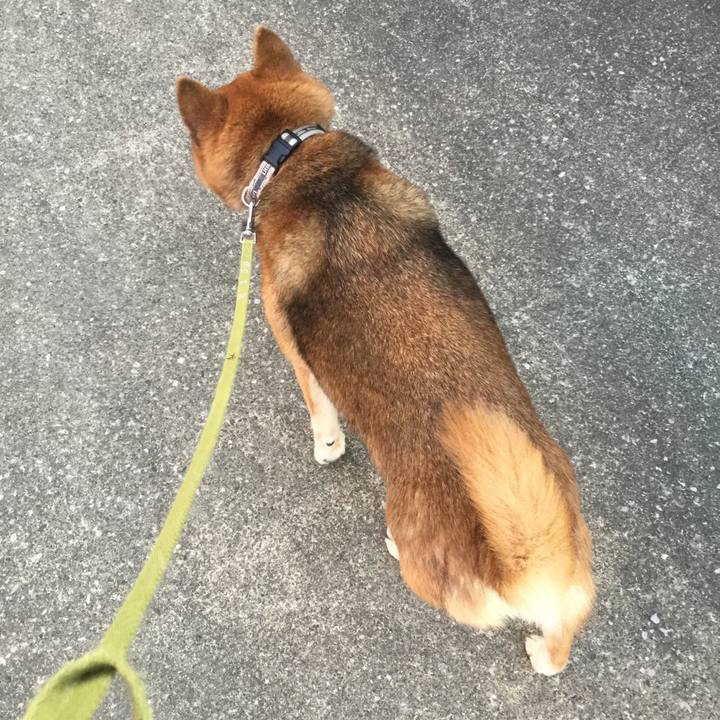 Cccfe0fa 85f7 4b5f ad93 59a31b52a66e 1609574984577