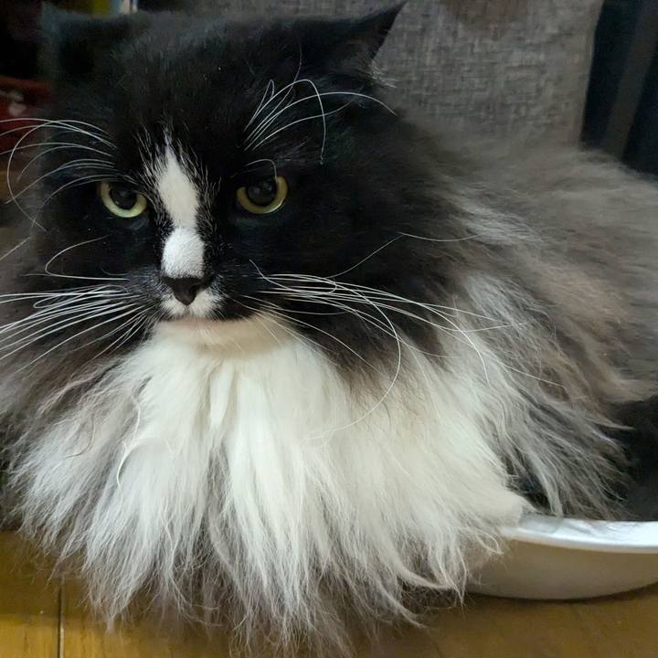 Ccd03e65 16f9 481e 9d62 ffbe70877f1c 1733693061753