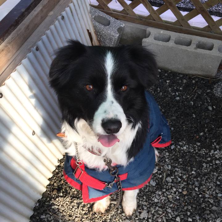 Ccd0475b 7ed1 404f 9f56 96e8d309af31 1518567116971