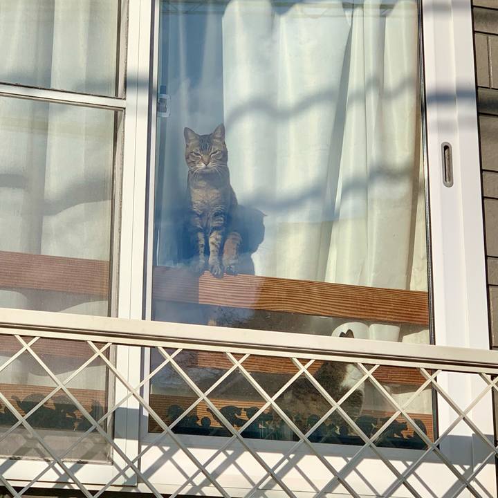 Ccd069fb 2b00 4291 9228 f5a1297d7fa7 1640066739125