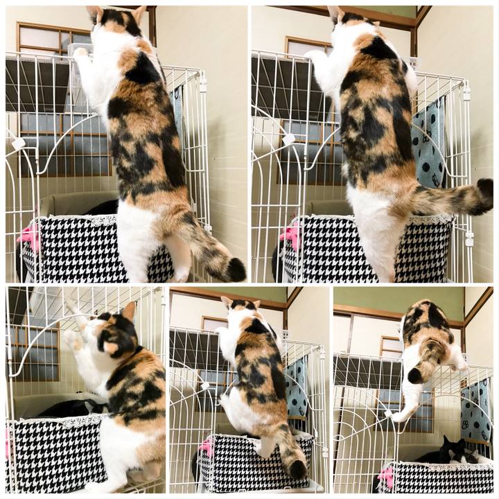 Ccd092b0 85bc 4df4 9d7f cf270e109480 1518741153797