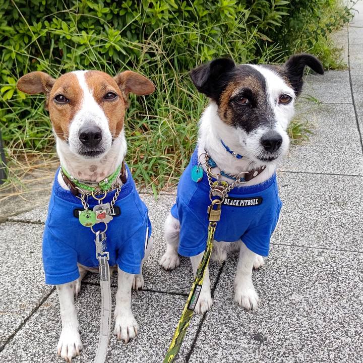 Ccd0c4a2 f178 4ca2 9623 d89983be656f 1661896582354