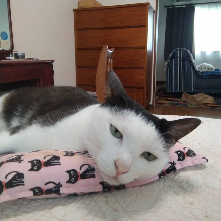 Ccd0ce1d 9efa 4b90 a35a c3598d458e79 1625280340529