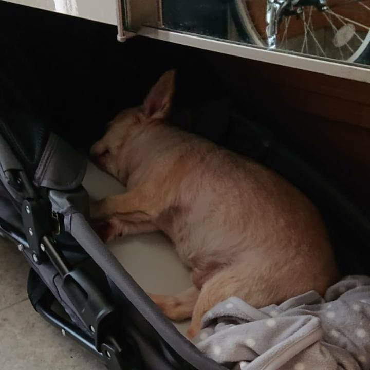 Ccd0d80f f4e0 4dbb ac0f 070b362d9ea5 1563772904476