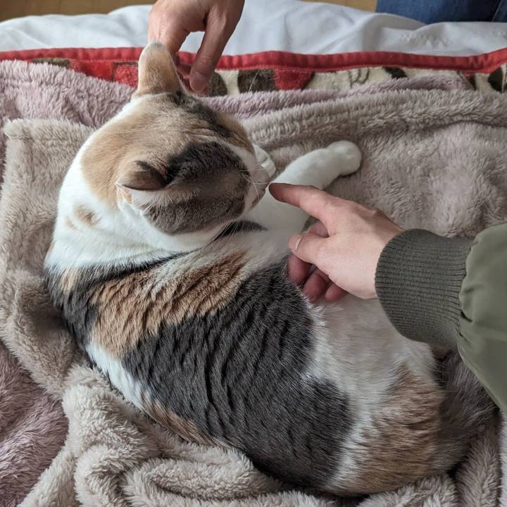 Ccd0f25b 51ea 4d20 981f 19e0b5aa897d 1708918688767