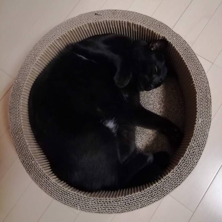 Ccd118cc 312d 400b 9ba8 97f1c9524b62 1559423947271