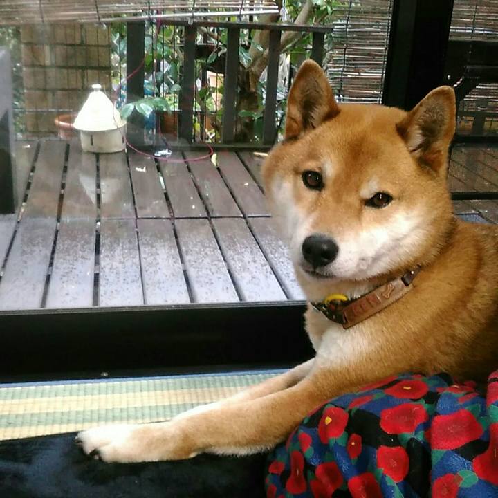 Ccd1321f 93ec 41c6 8b75 3bfe2c6b57e7 1551944490475