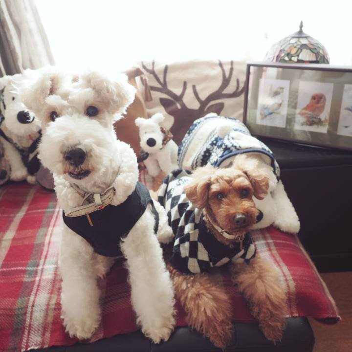 Ccd17b3c faaf 4961 937b 6717531feeff 1546403921568