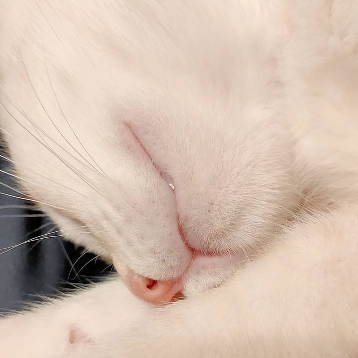 Ccd17fd6 1adb 4602 b0e6 115baac6f87b 1627613141028