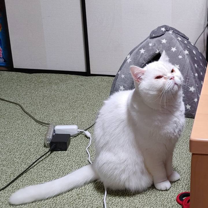 Ccd183f0 8226 4bf7 89f6 a26ea6aa635a 1641390825069