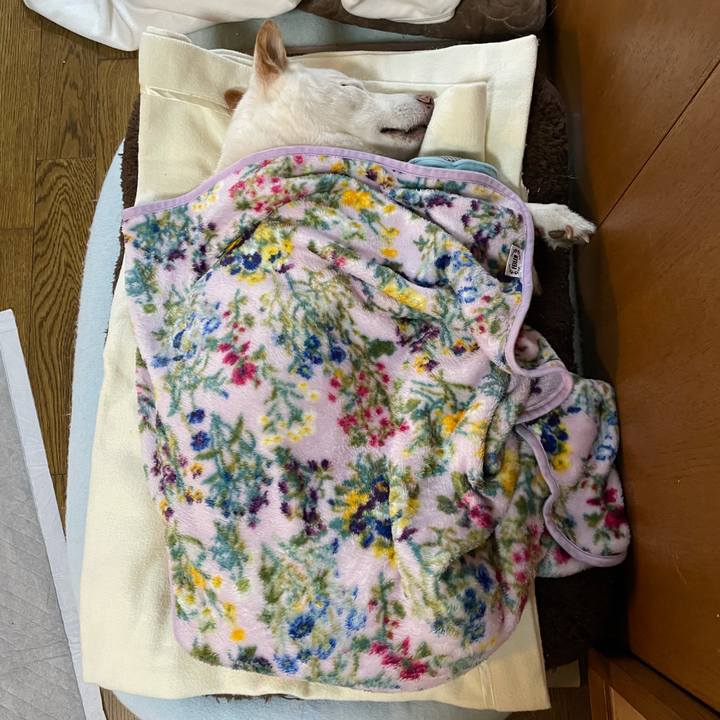 Ccd1ab54 3ef2 44c6 b274 6a721611ec31 1635219767371