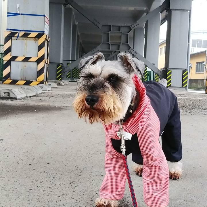 Ccd1c735 b582 48ea 991a fe11f9a408fc 1625435193124