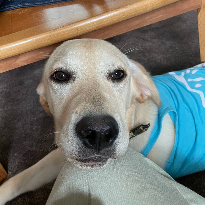 Ccd1ff26 6879 4549 839b 69ce9b42724a 1621988712466