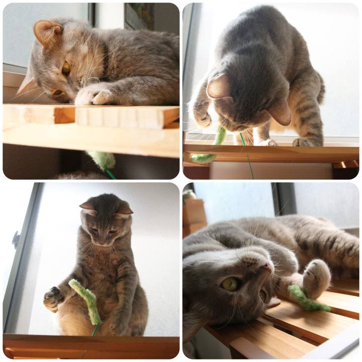 Ccd2680e 9754 4ef6 8438 cea82849de2d 1551773925285