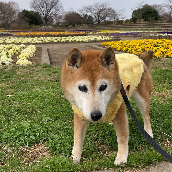 Ccd2ae5b 5509 4e3f 8015 3f683c052fd4 1773369608141