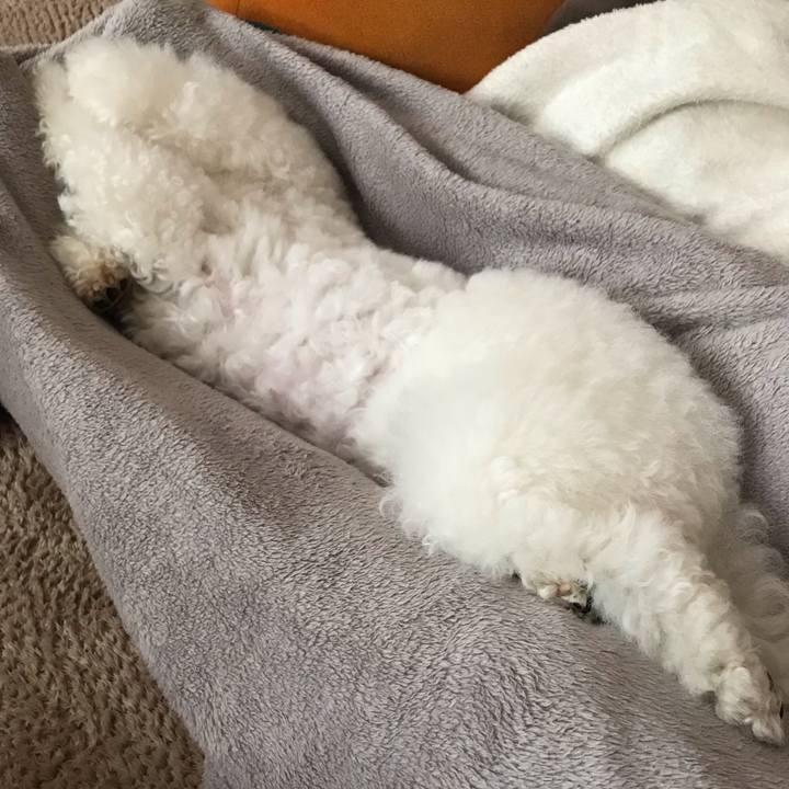 Ccd30a45 aef3 4915 b678 805346d43154 1587363176742