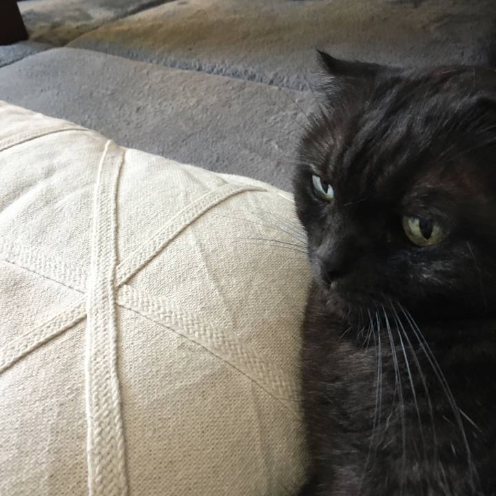 Ccd32955 522b 45d0 a47d f8787c7092cb 1570932654572